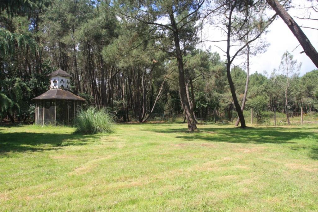 Le Clos Du Chene Langon  Exterior photo